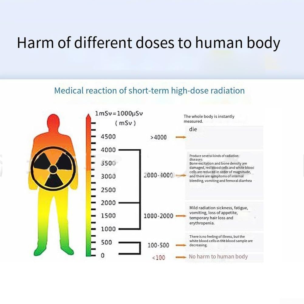 Détecteur de rayonnement nucléaire pour mesure de rayonnement ionisant avec bêta gamma X pour sensibilité aux rayons, affichage, alarme sonore et lumineuse, (noir)