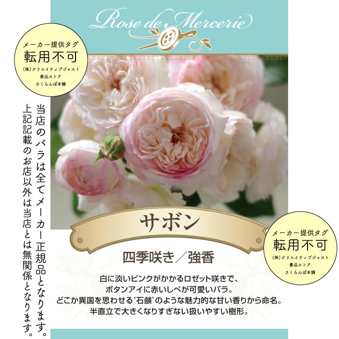Amazon.co.jp: [ サボン バラ 新苗 4号鉢 ] バラ苗 鉢植え 薔薇 ばら