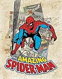 Desperate Enterprises Marvel Comics Spider-Man Cover Splash Tin Sign, 12.5