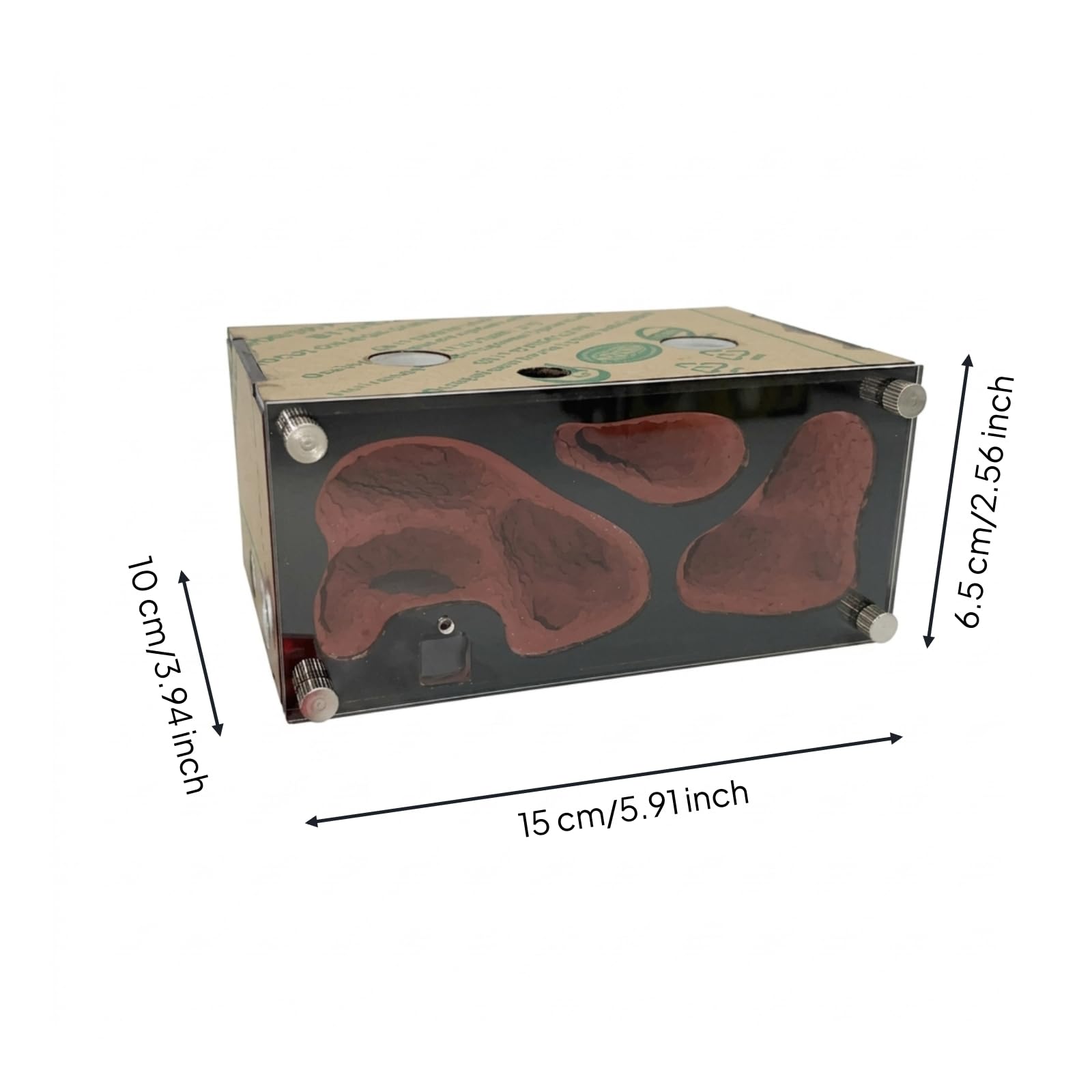 Formicario Modulabile Contenitore Habitat Formiche Nido Formiche Fattoria Insetti con Porte per Collegamento Ad Altri Moduli E Camera Nido Simulata, Nido A Normale