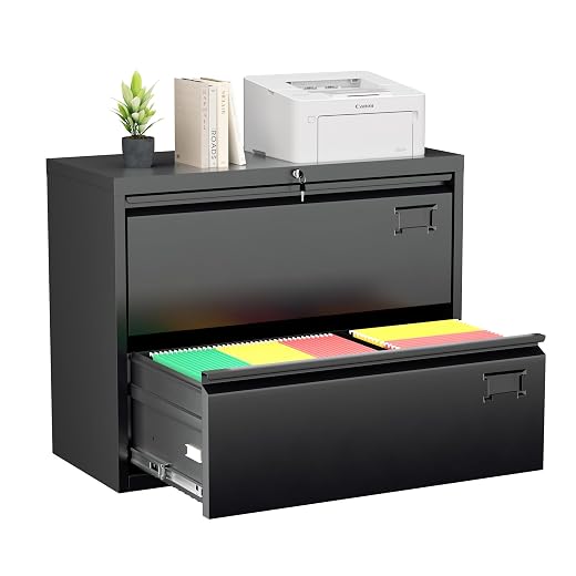 Greenvelly 18” D File Cabinet, 2 Drawer Vertical File Cabinet with Lock, Locking Filing Cabinet for Home Office, Black Metal File Cabinet for Hanging Letter/Legal Folders, Easy Assemble