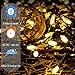 HoliDecor Christmas Lights - Battery Operated String Lights 50 Count Clear LED Mini Lights 8 Modes Mini Light Set with Timer for Xmas Tree Wreath Party Indoor Outdoor Decor, Waterproof, Warm White
