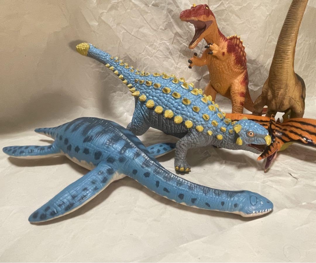 Amazon.co.jp: favorite collection フェイバリット