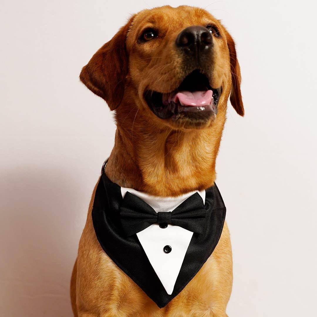 Myartbucket Wedding and Festive Dog Tuxedo Black Bandana with Bow | Pet Tuxedo Bandana (Medium) (B08PT54F3D) Amazon Price History, Amazon Price Tracker