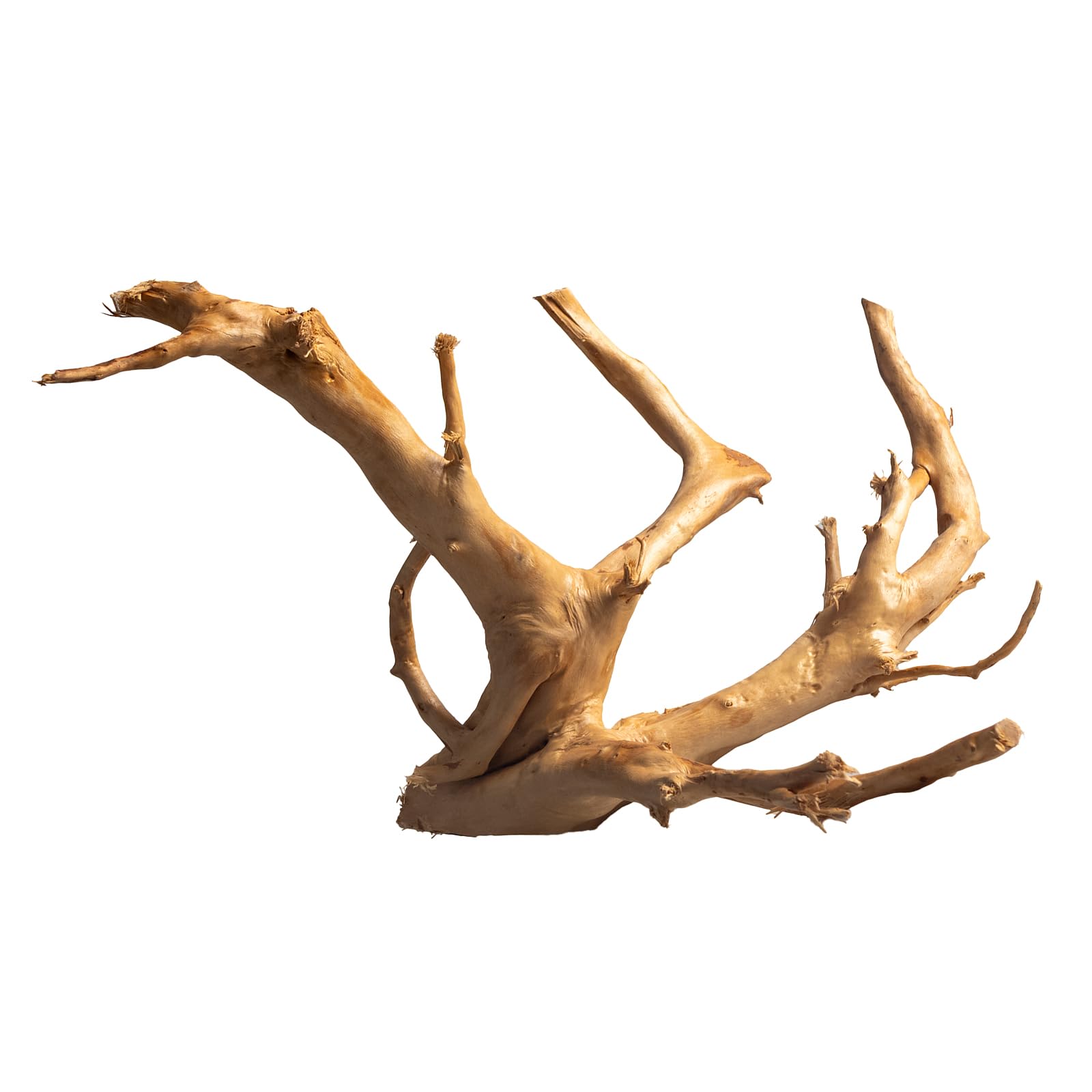 emours Spider Wood for Aquarium, Natural Driftwood for Fish Tank Decor, Aquascape Wood for Freshwater Aquarium & Reptile Habitat (8-12 Inch / 20-30 cm)