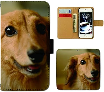 Amazon Co Jp Iphone 11 Iphone11 ケース 手帳型 犬写真 手帳ケース スマホケース カバー 犬 いぬ ペット ミニチュアダックス E 家電 カメラ Amazon Co Jp Iphone 11 Iphone11 ケース 手帳型 犬写真 手帳ケース スマホケース カバー 犬 いぬ ペット ミニチュアダックス E 家電 カメラ