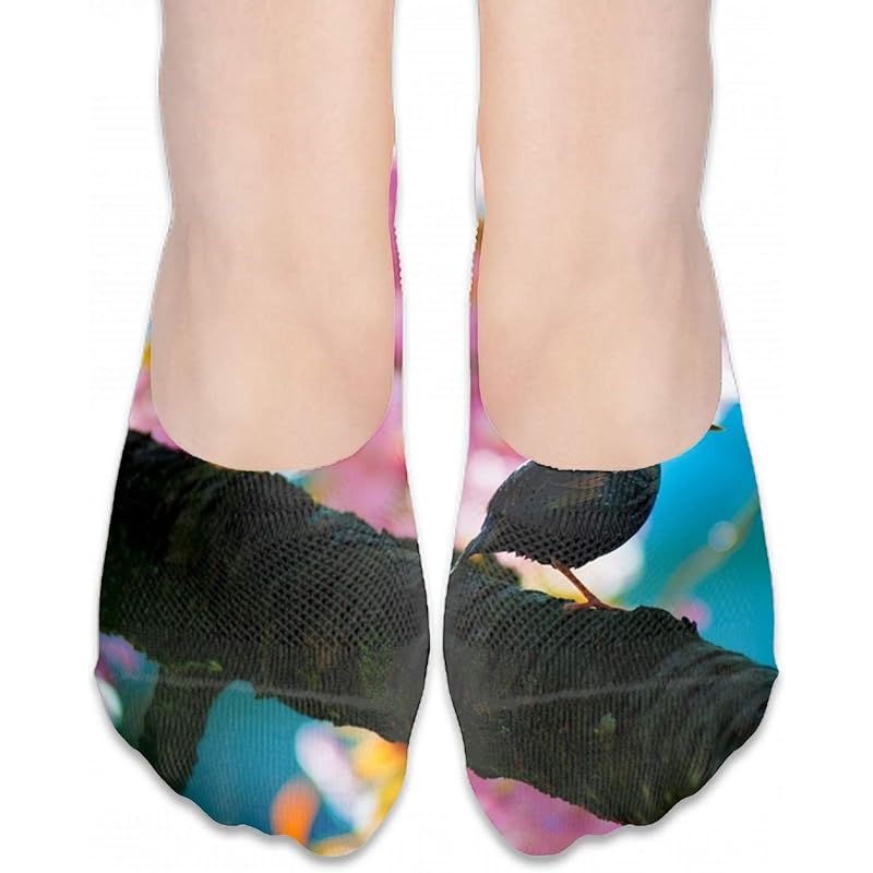 服 ファッション小物 サントスピンク レディース ソックス かわいいウサギの草の花 レース靴下 くるぶし ショートソックス綿 無地 靴下 70xnexqraf Wrestlesquare Com