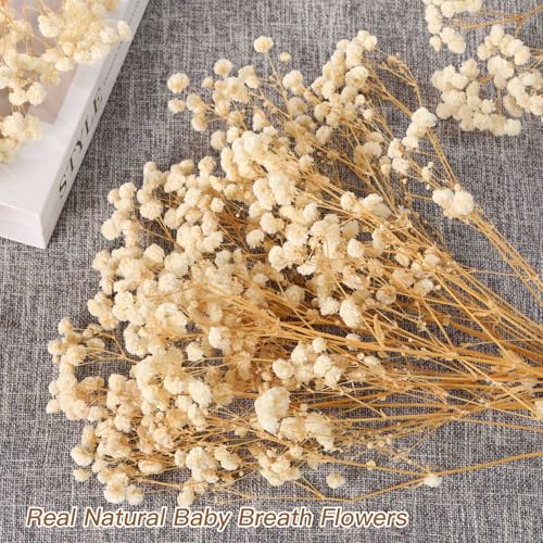 Ramo Flores Secas Babys Breath 17" Natural 2oz miniatura 2