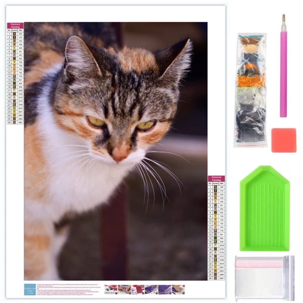 Diy 5D Diamond Painting Number Set -Full Round Drill Diamond Artist Wall Decoration,Tiger Cat Animal Cross Stitch Embroidery Art Kits For Children'S Adult Bedroom Decoration,Square Drill,7.87×11.81 I
