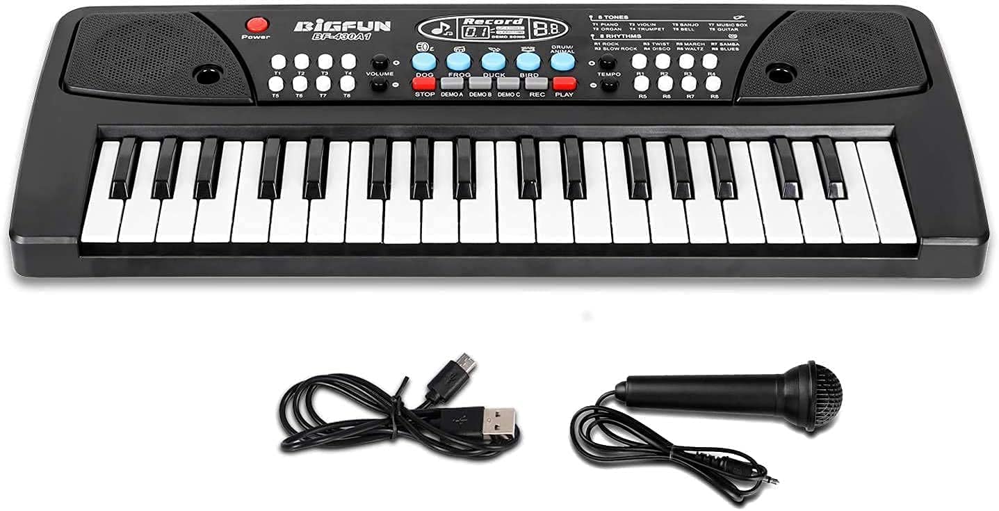 Bestonl Kids Piano Keyboard, Piano for Kids with Microphone Portable Electronic Keyboards for Beginners, Kid Musical Toys Pianos for Girls Boys Ages 3-8 (Small) (B0BDG8Y1ZY) Amazon Price History, Amazon Price Tracker