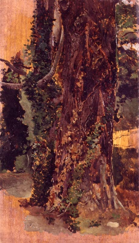 Toile Viejo Árbol Emilio Sala Y Frances pour habiller un grand mur vide