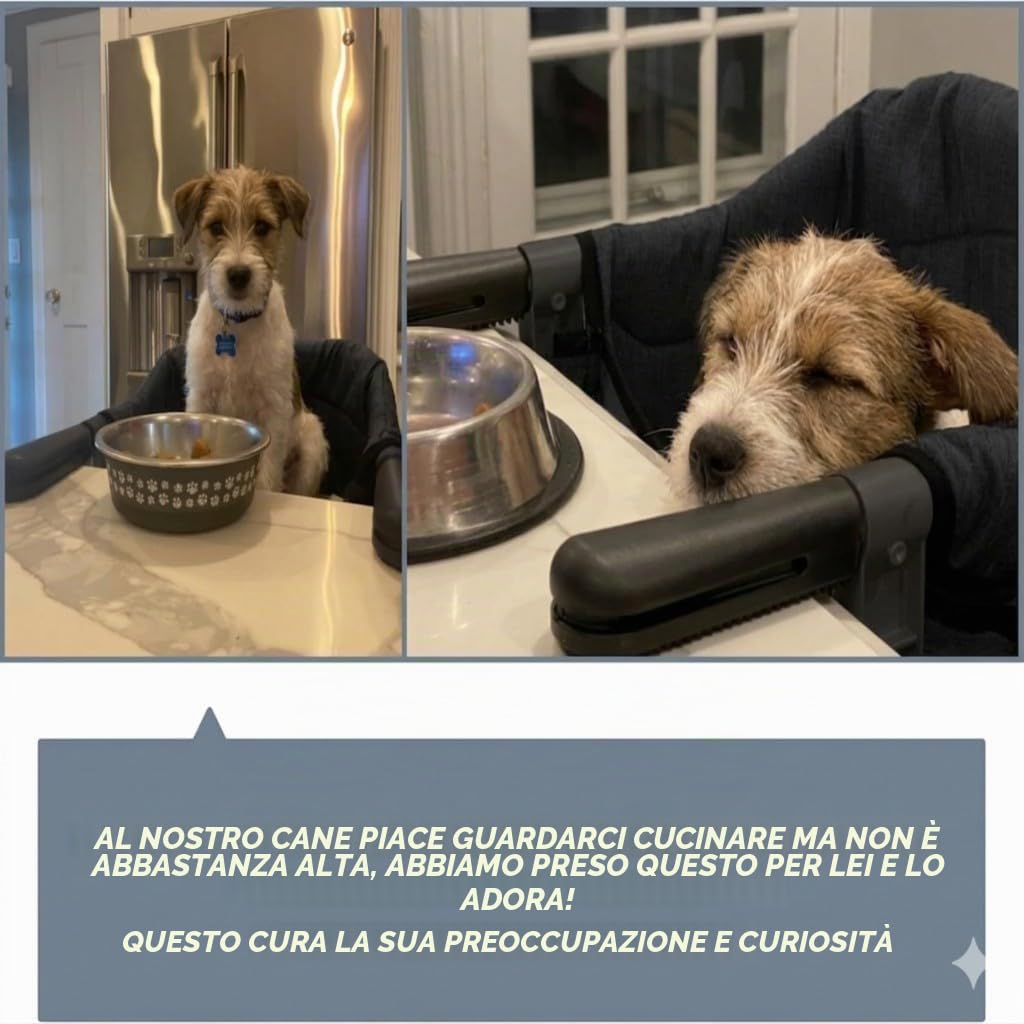 Seggiolino per animali domestici multifunzionale rialzato per cani e gatti, da tavolo, per compagnia, posatoio, alimentazione ergonomica con struttura stabile, facile da pulire, salvaspazio