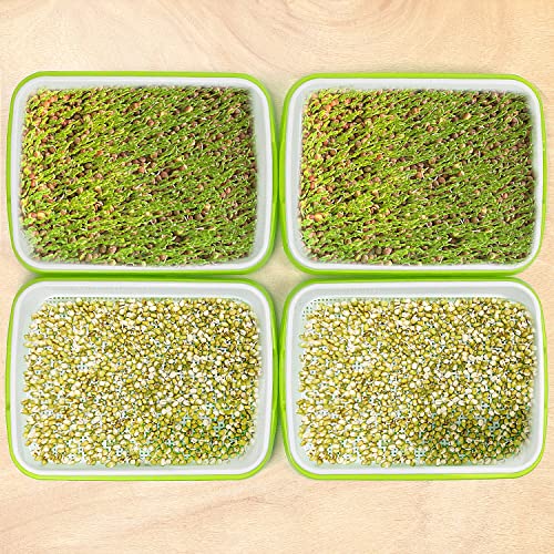 Sdldeer Seed Sprouting Tray, 3 Packs Microgreens Growing Trays Big Capacity Sprouts Growing Kit Soil-Free Sprouter Tray For Sprouting Seeds thumb #4