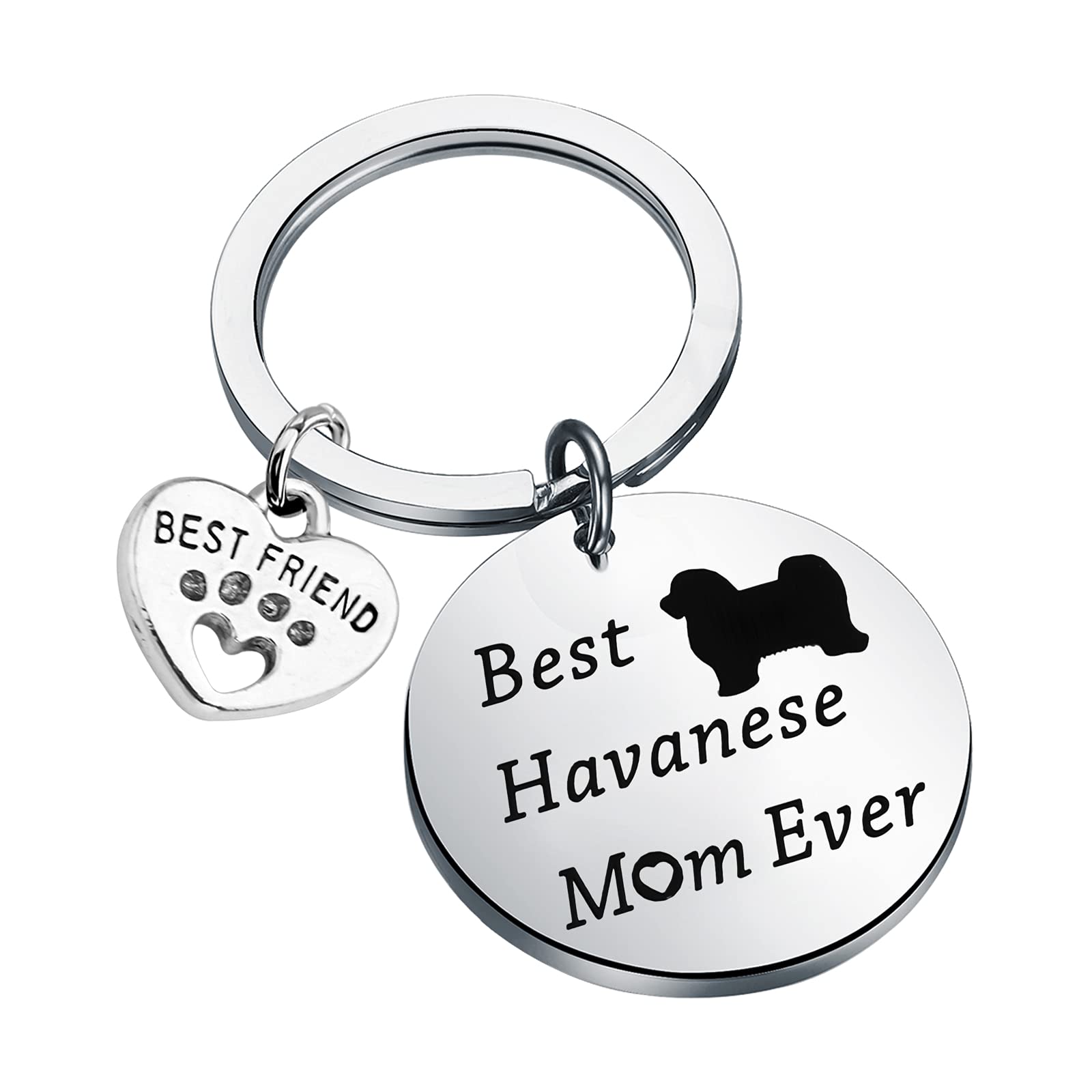 Lywjyb Birdgot Best Havanese Mom Ever Keychain Dog Lover Best Friend Havanese Gift (Best Havanese KY)