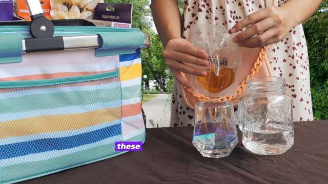Smuggle Booze Containers Watch Smuggle Your Booze Plastic Soft Flasks for Cruise on Amazon Live