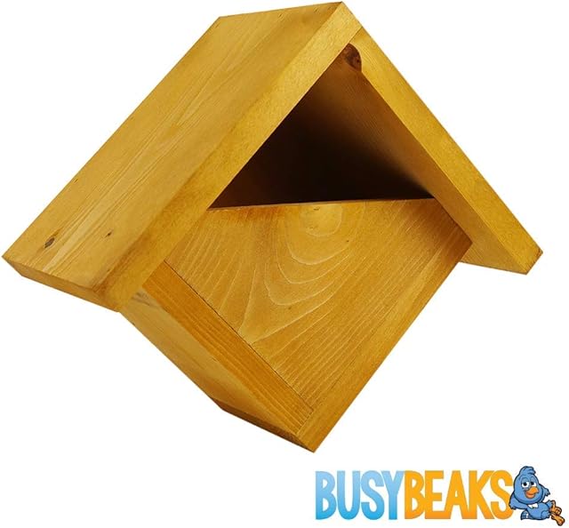 BusyBeaks Standard Nest Boxes - Traditional Nesting Box For Wild Garden Birds (Robin Nest Box)