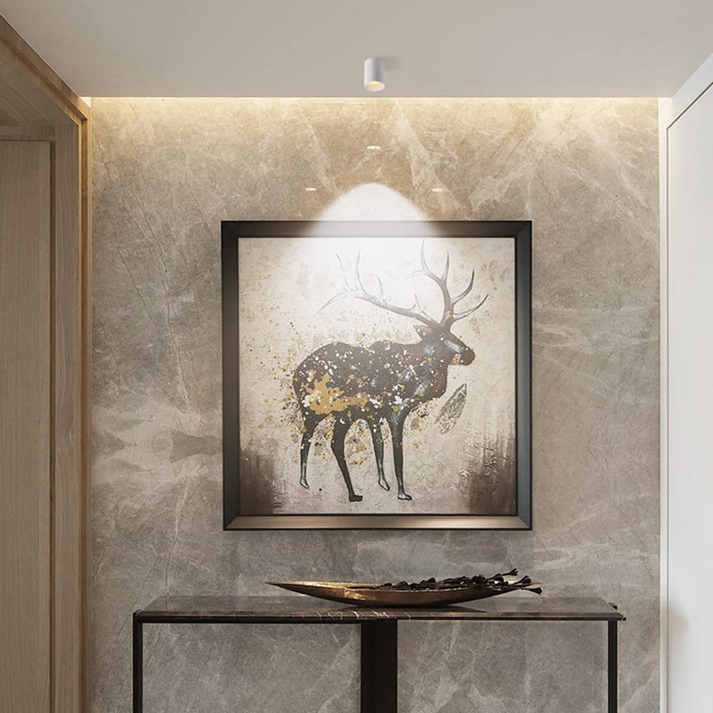Spot De Plafond Moderne en Saillie, Lampe Cylindrique, Spot Directionnel 10 W, en Aluminium, pour Couloir, Cuisine, Salon, Galerie/6000（3000K-12W）
