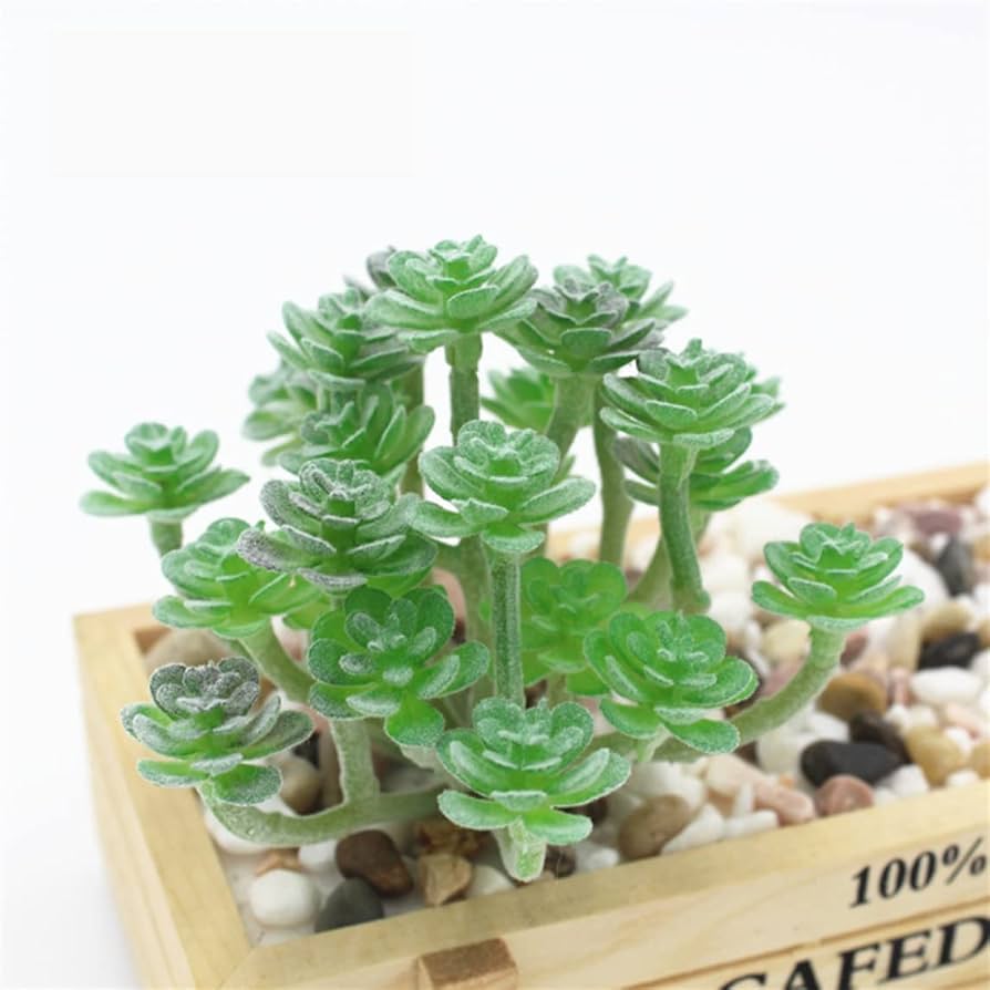 Amazon｜HGJH フェイクグリーン 多肉植物 F*1 鉢植え 造花 人工植毛