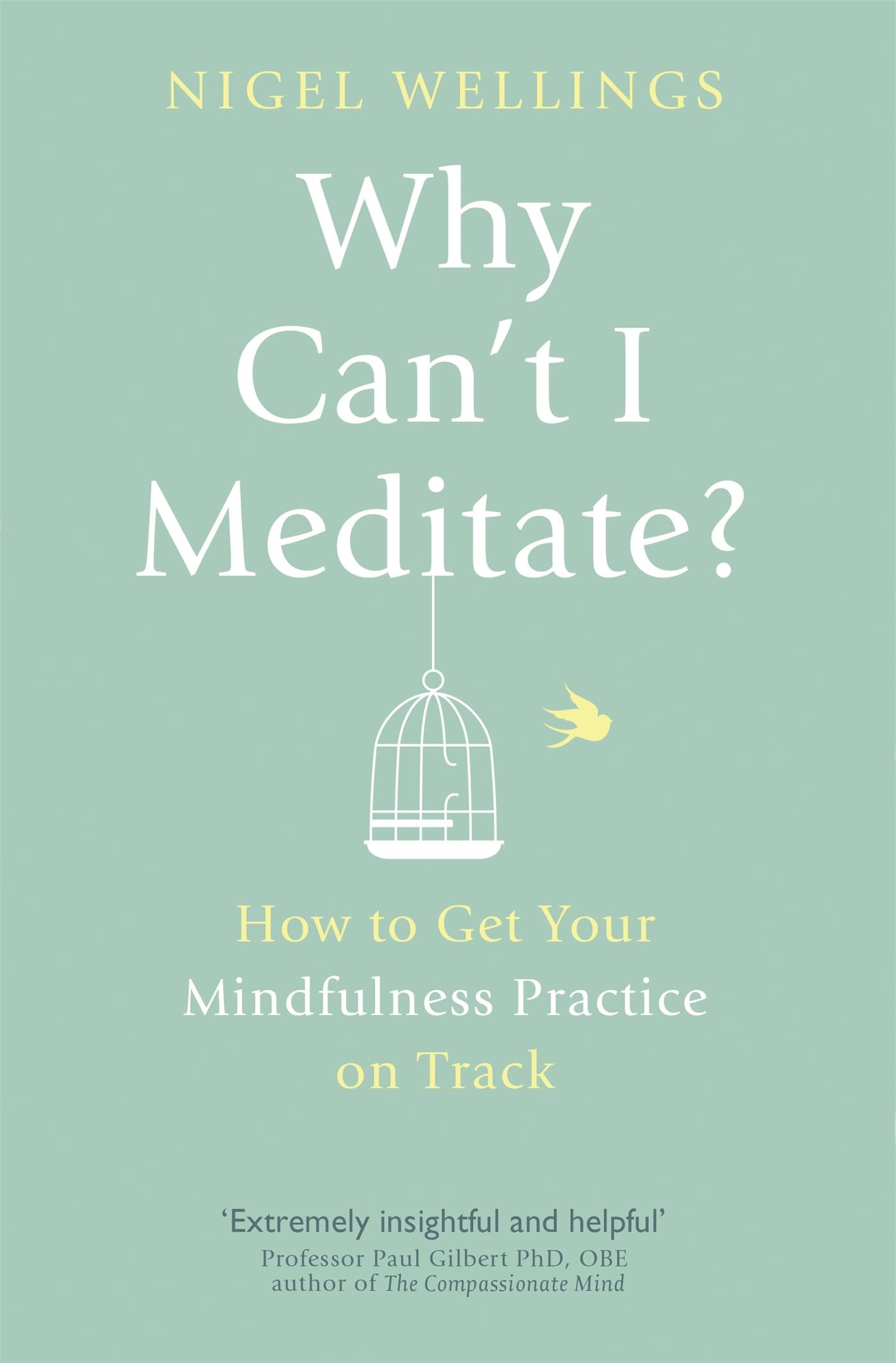 Why Can't I Meditate?: How to get your mindfulness practice on track