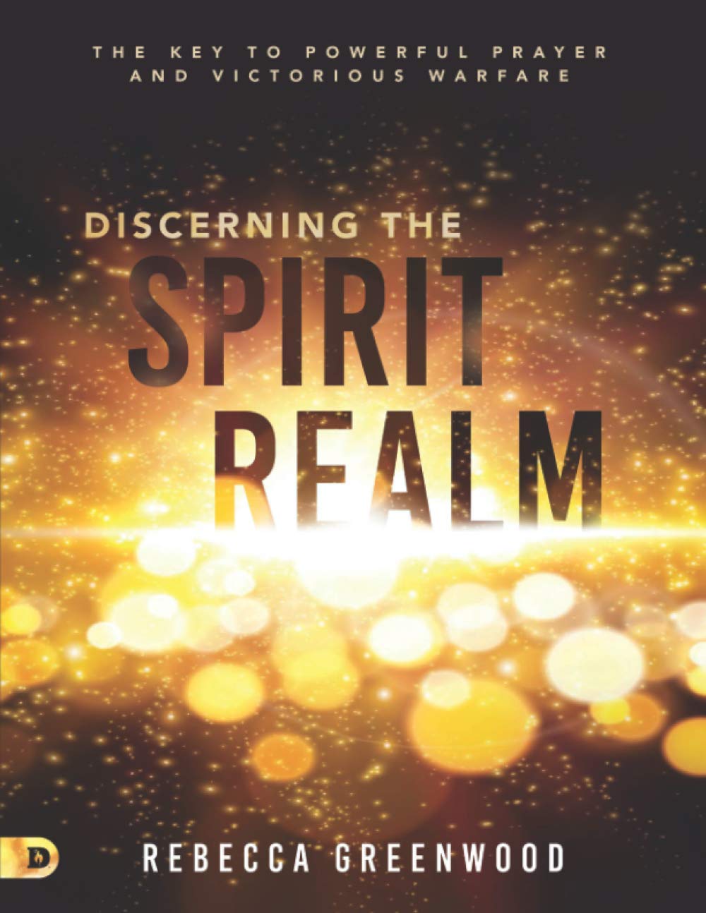 Discerning the Spirit Realm (Large Print Edition): The Key to Powerful Prayer and Victorious Warfare