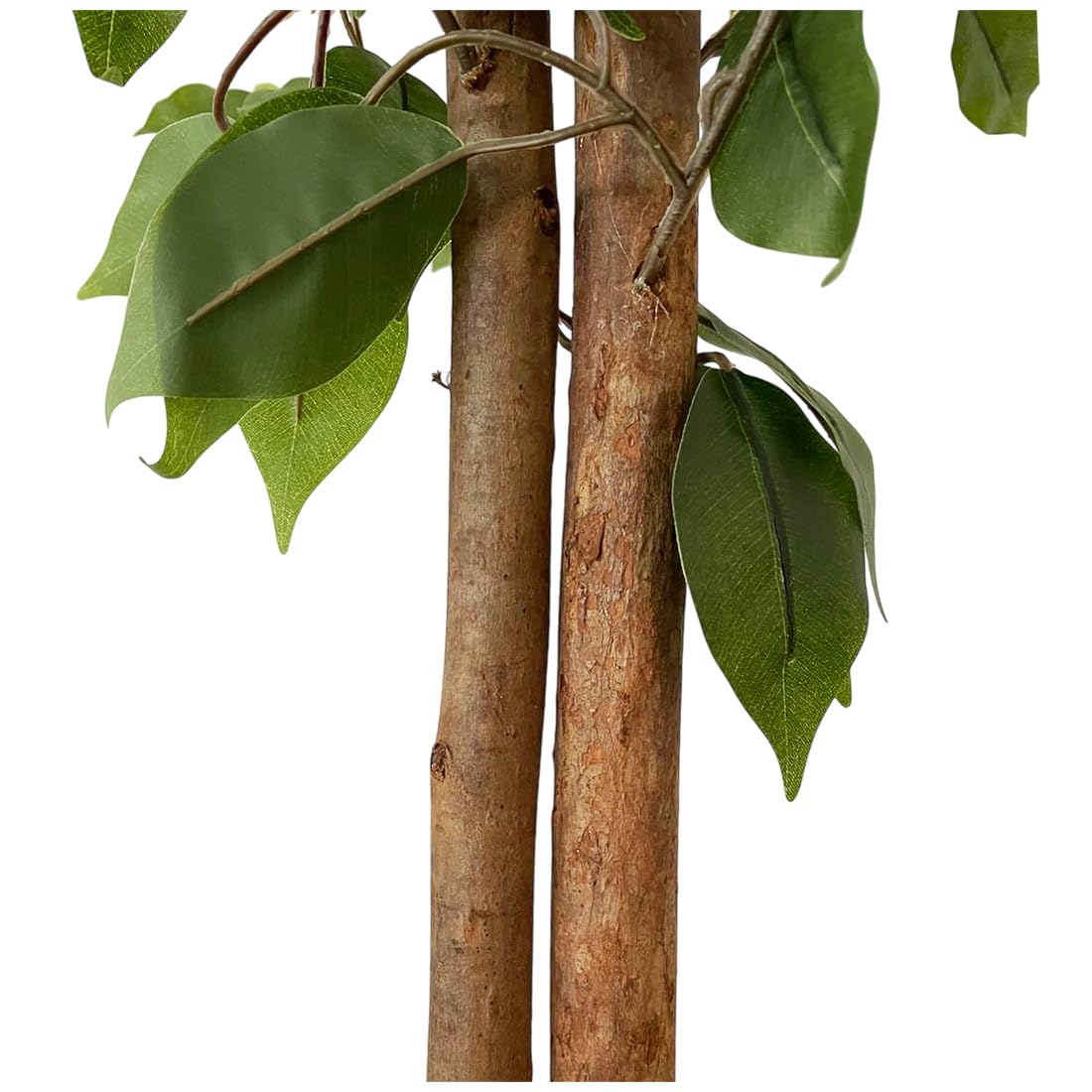 Acomoda Textil – Planta Artificial Decorativa con Macetero Elegante para Hogar, Jardín, Comercio y Oficina. Planta Sintética Resistente para Interior y Exterior Sin Cuidados.(Ficus,180 cm)