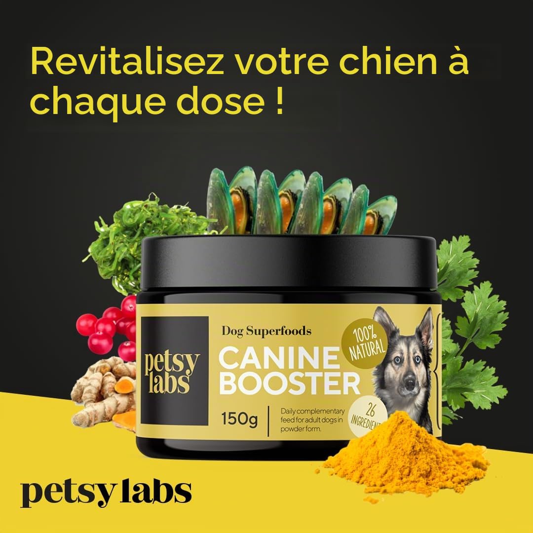 Canine Booster – Complément pour Chiens Adultes avec Moule Verte, Curcuma et probiotiques – Améliore mobilité, Digestion, Peau, Pelage, renforce l’immunité et Plus Encore