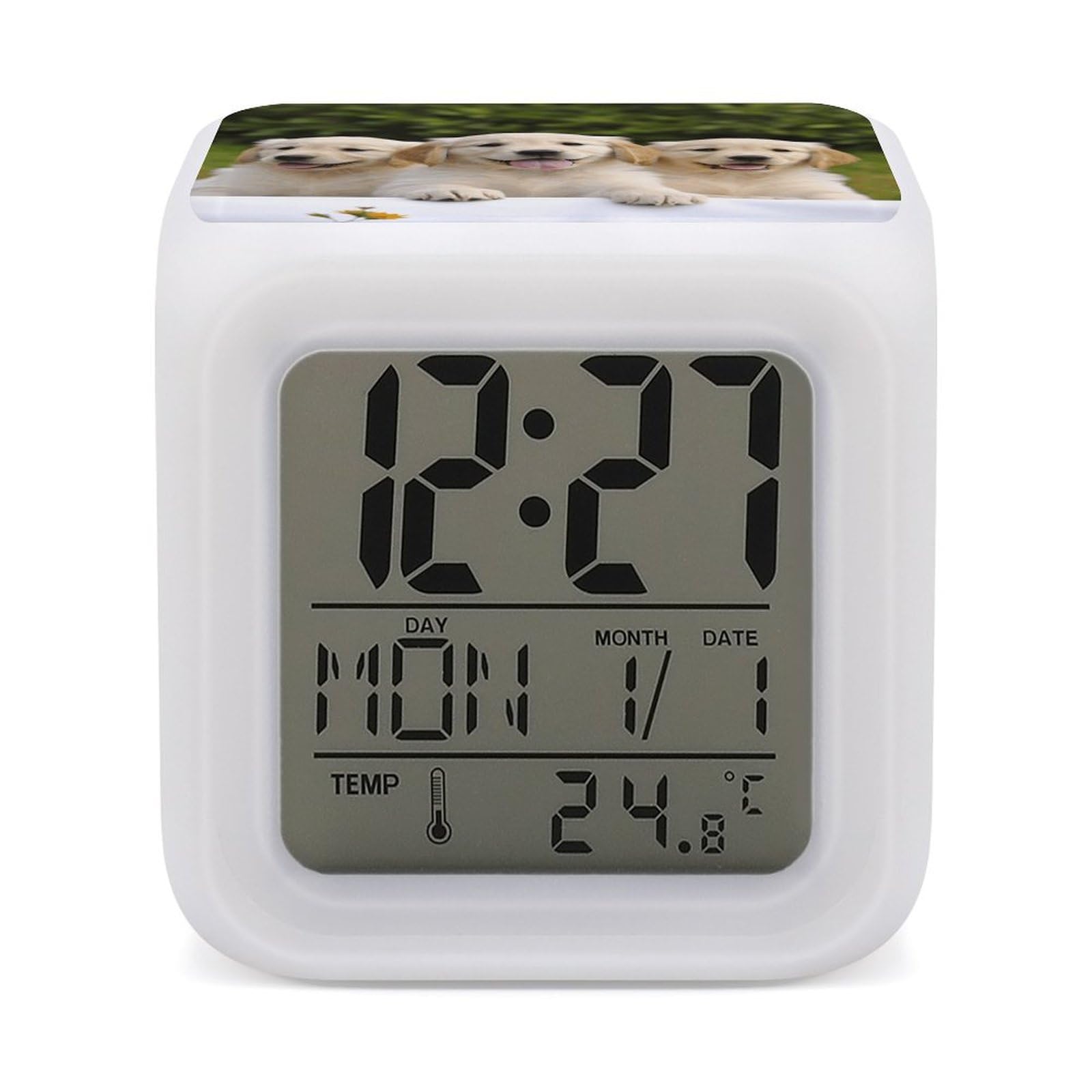 JTREHY 7 Color Changing LED Digital Alarm Clock,Golden Retriever Puppies Printed Wake-up Clock with Temperature Display Home Decoration Alarm Clock for Bedroom Office