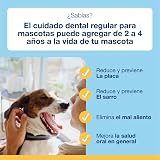 Ver la foto 3
