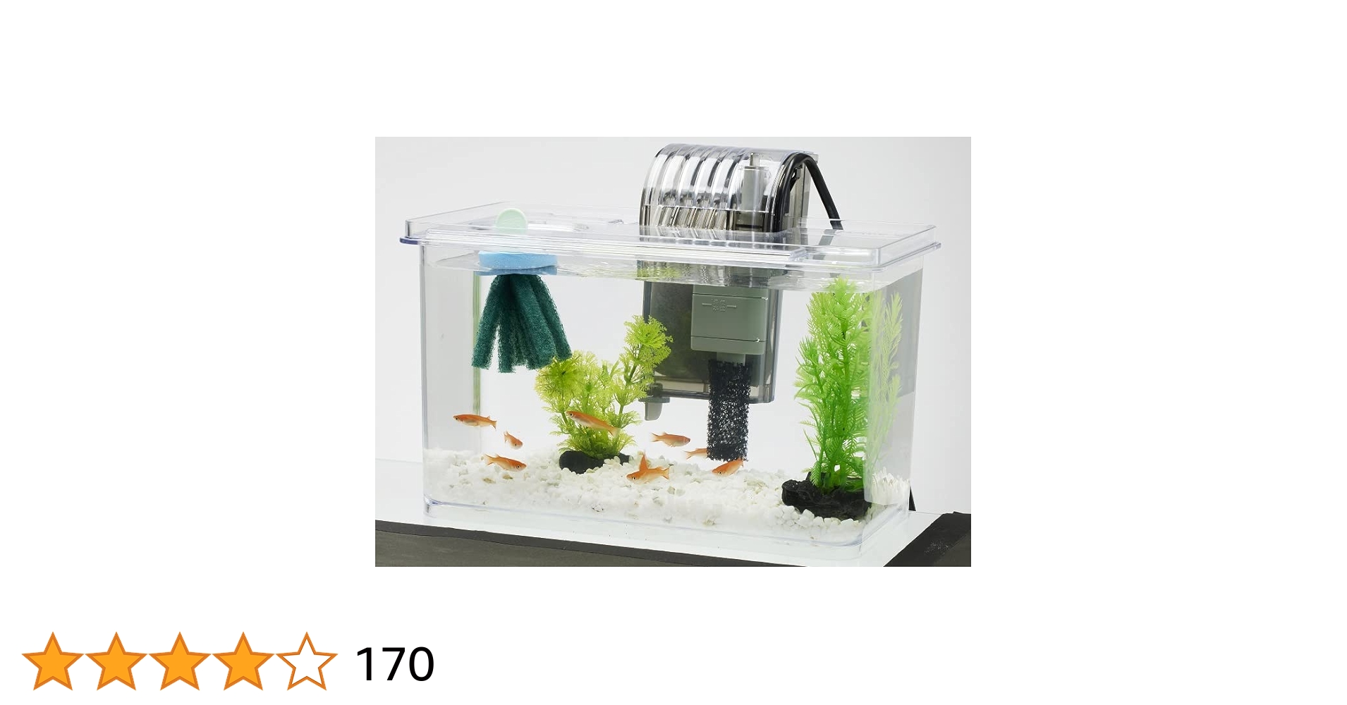 メダカ　コリドラス　ヌマエビ　水槽　スタートセット　総額20,000円以上 メダカ コリドラス ヌマエビ 水槽 スタートセット 総額20,000円