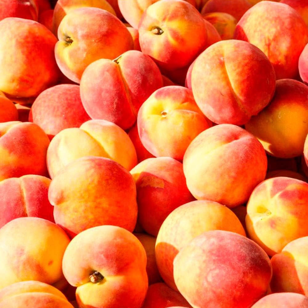 Pack Ahorro Lámpara Catalítica Mosaico Dorado + Fragancia Aroma Peach Velvet 200ml. Elimina malos olores e impurezas, perfuma y limpia.
