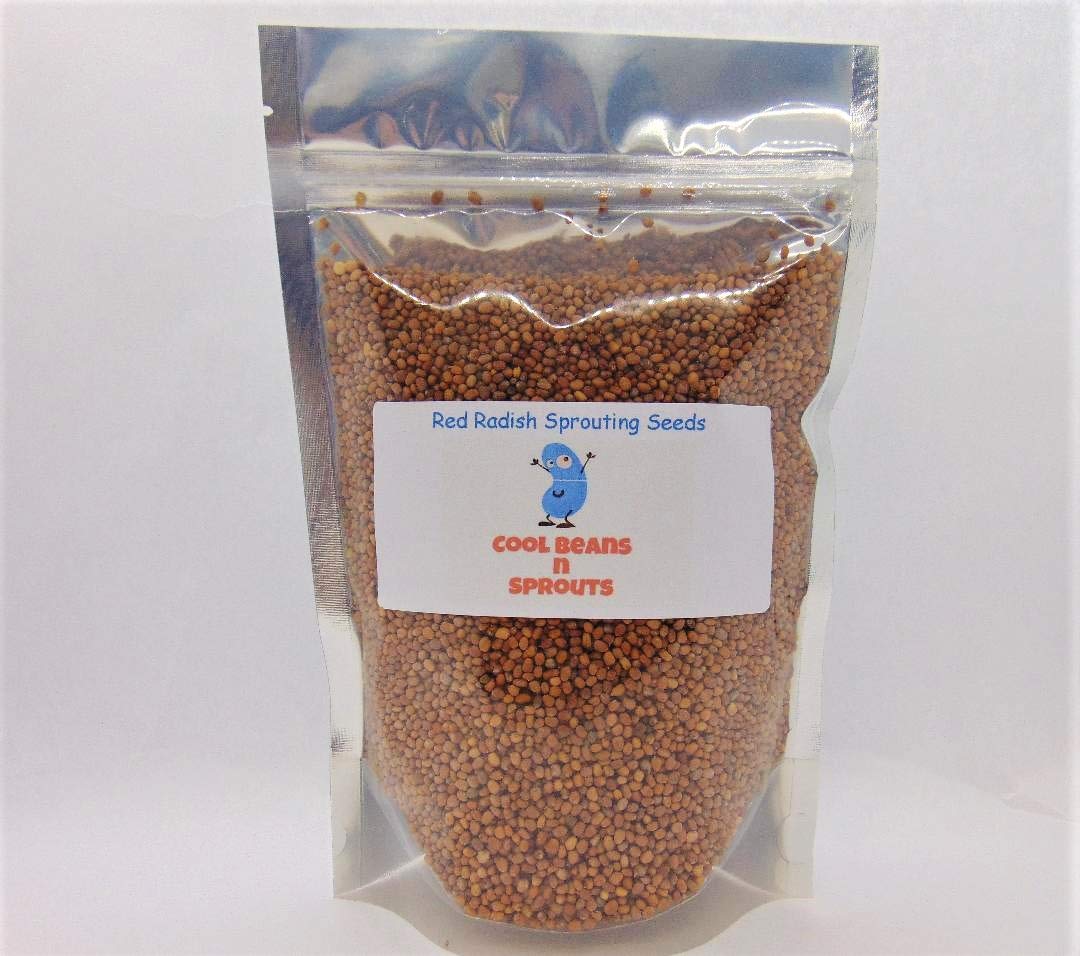 Red Radish Seeds for Sprouting Microgreens, 14 oz A Rich Source of Vitamins and Minerals and Health-Promoting Nutrients! "COOL BEANS N SPROUTS" Brand, A Small Town Family Run USA Business. Thank You!