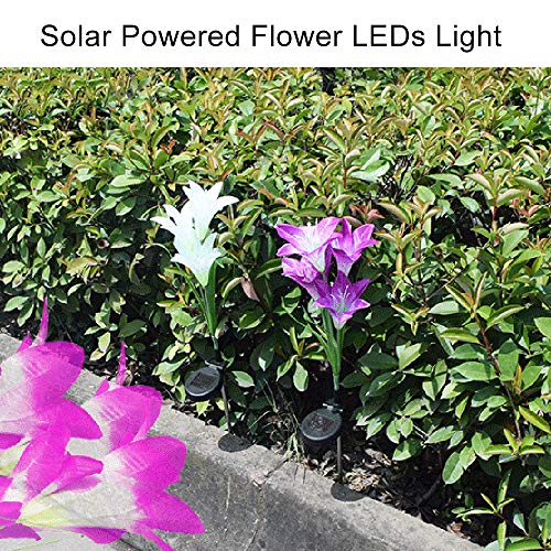 Ajcoflt LEDs flor movidos a energia solar Luz RGB Gramado Lâmpada IP55 Resistência à água Built-in 3