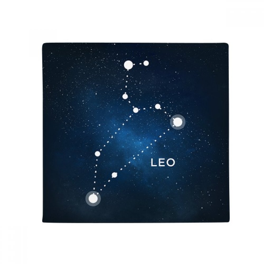 Tapis anti-dérapant Leo zodiaque absorbant pour entrées et zones humides