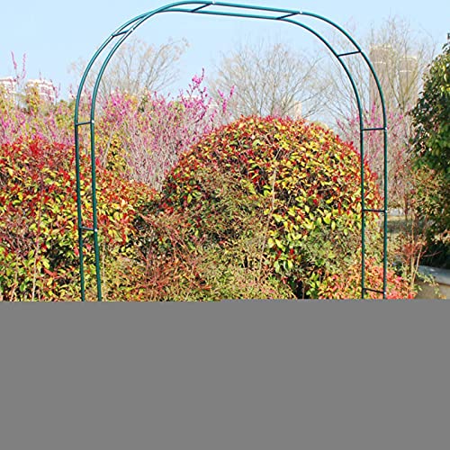 Arche de jardin en métal vert foncé - Décoration de mariage - Treillage de plante grimpante - Pergola autoportante - Tube de 19 mm de diamètre - Accent extérieur paysage