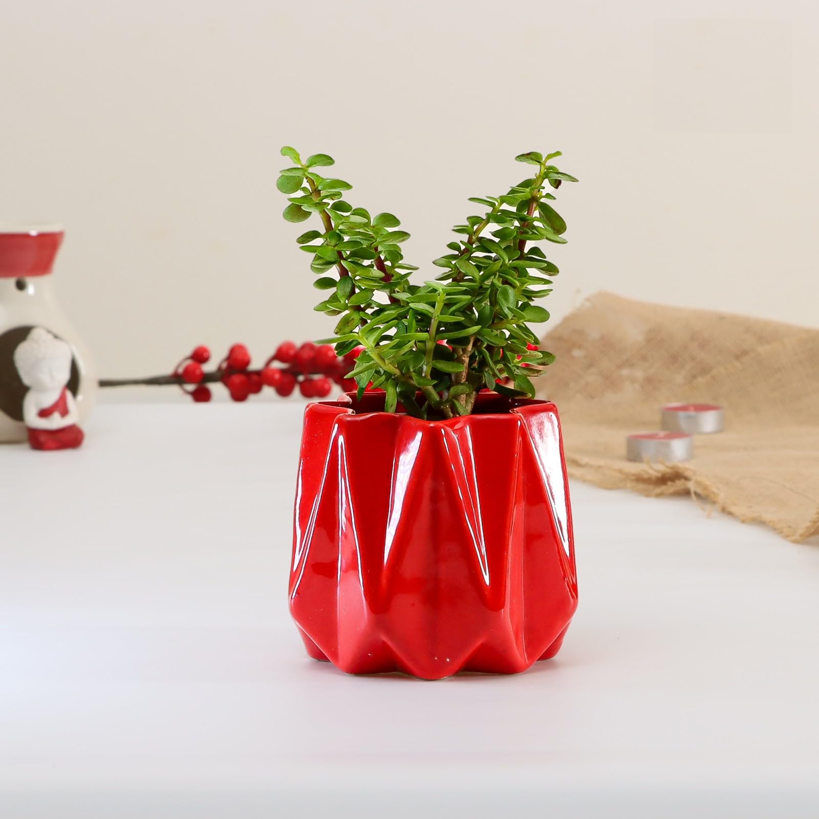 See full amazon price history chart for Flora Dlite Jade Plant with Pot, Red Ceramic Plant Pot Perfect Indoor Live Plants for Living Room Home Decor, Small Plant for Office Desk Pack of 1 Flora Dlite Jade Plant with Pot, Red Ceramic Plant Pot Perfect Indoor Live Plants for Living Room Home Decor, Small Plant for Office Desk Pack of 1 (B0D3FKY1B6) Amazon Price History, Amazon Price Tracker