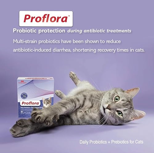 Miniatura 12 de Probióticos para gatos: salud intestinal completa y apoyo inmunológico. Probióticos digestivos de múltiples cepas fáciles de usar. Transiciones de