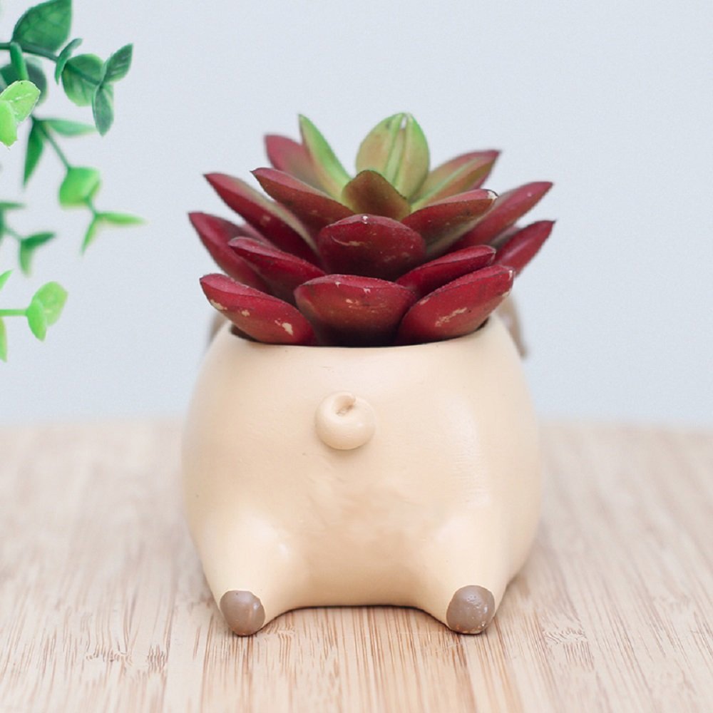 BESPORTBLE 2 Pz Vaso Per Piante Per Cani Mini Vaso Da Fiori Da