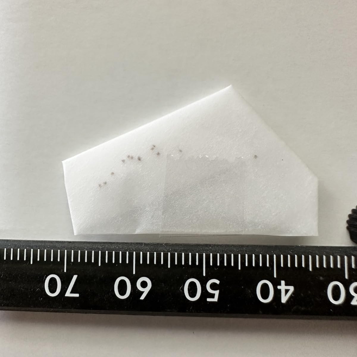 リトープス　種子リスト(注文可能) ① 2025年最新】Yahoo!オークション -リトープス 種子の中古品・新品・未