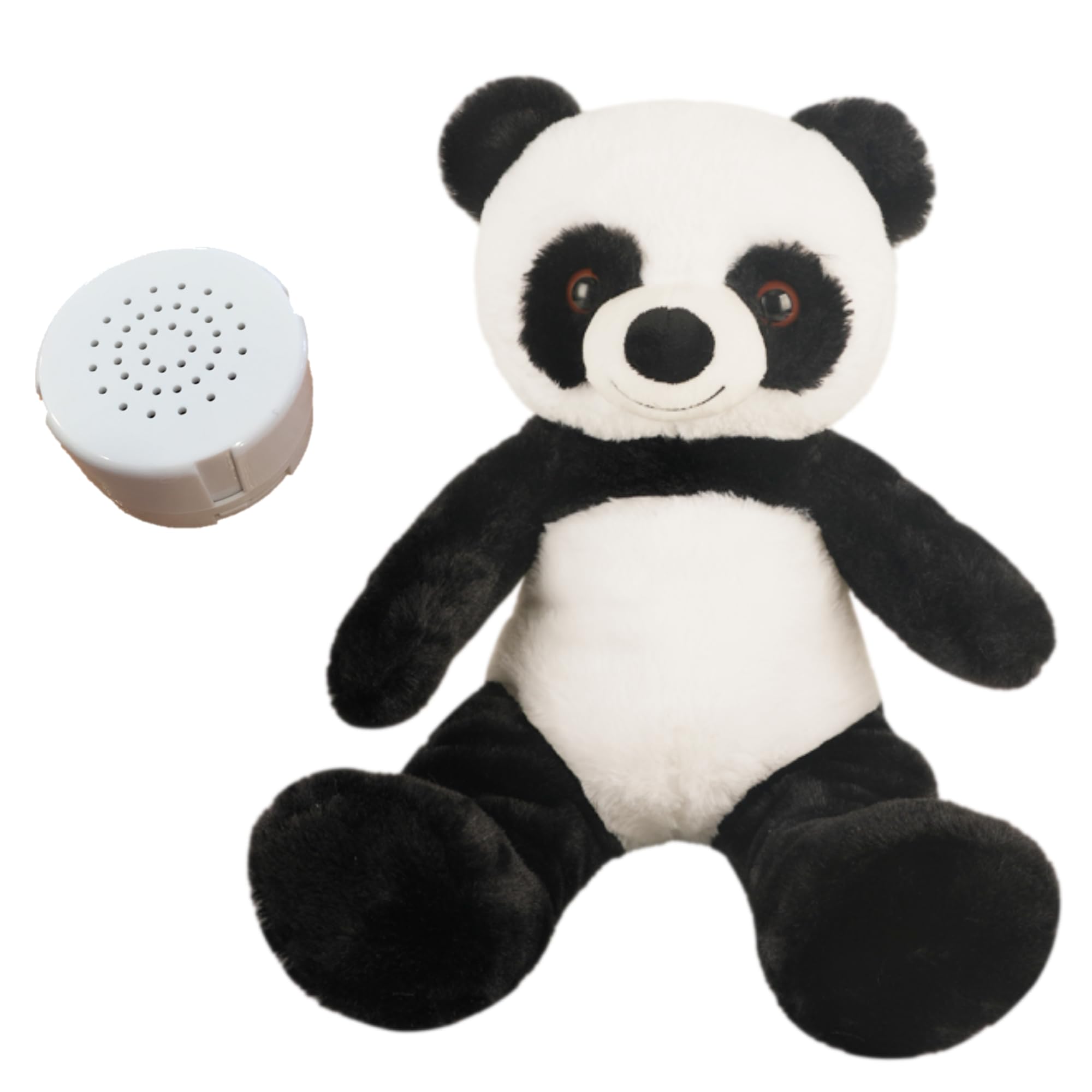 Little Panda Teddy Bear with voice recorder - 25cm - Record a 60 second personal message and send in a bear - Baby heartbeat bear