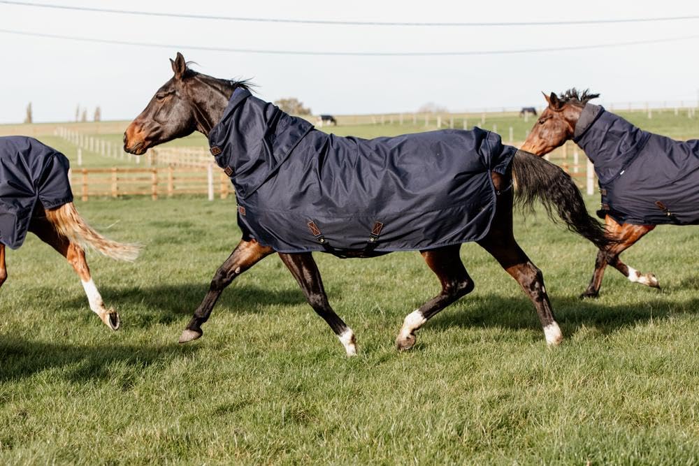 Kentucky Horsewear - Manta impermeable para caballo, con tapa para cuello, 150 g