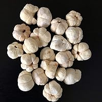 Vista 3 de Mangostán liofilizado