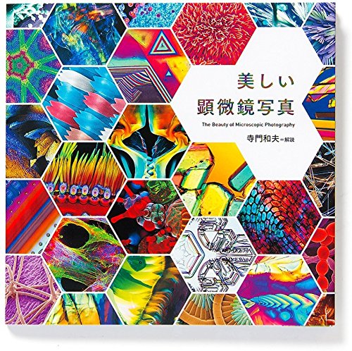 美しい顕微鏡写真 美しい顕微鏡写真