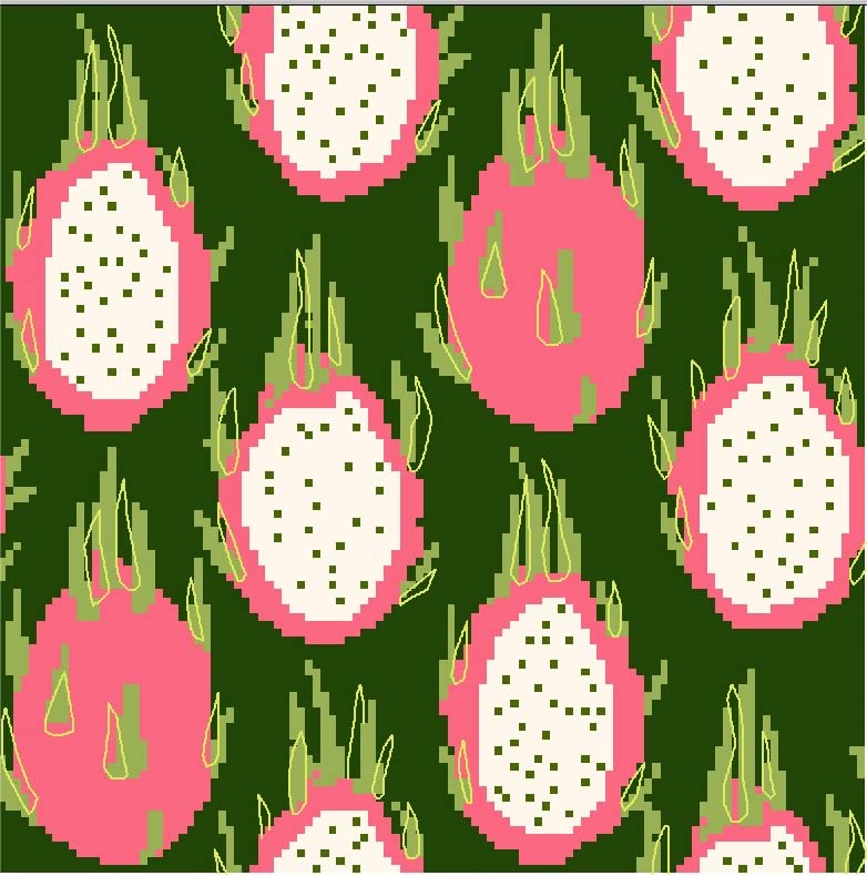 Howie's Needlepoint 14CT Pre-Printed Cross Stitch Kits,Embroidery Patterns Starter Kits,Needlepoint Kits - Pitayas