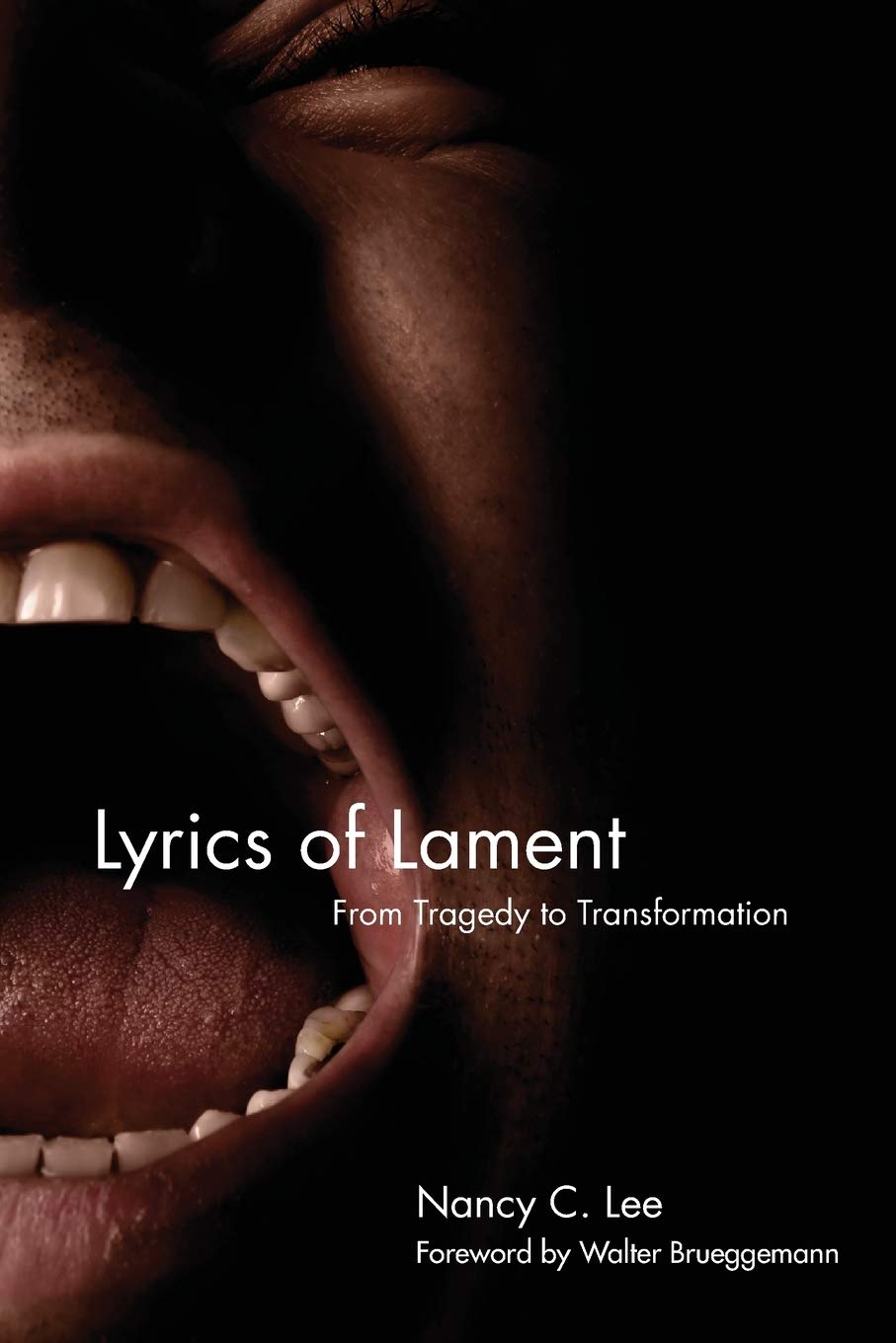 Lyrics of Lament: From Tragedy to Transformation