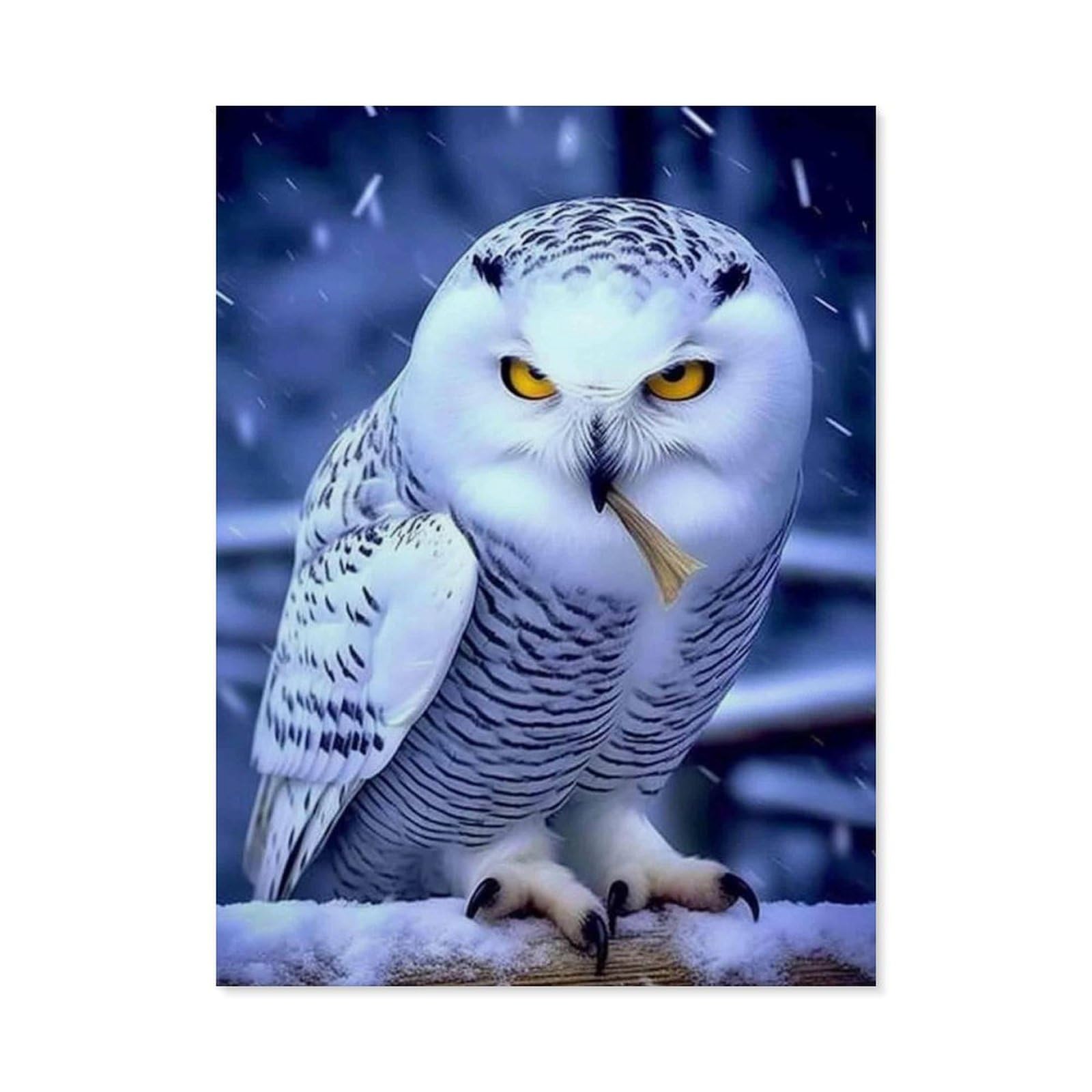 Paint by Numbers for Adults，White eagle, animal，DIY Paint by Numbers Kits for Adults Kids on Canvas with Brushes and Acrylic Pigment Oil Painting Kits Home Decor Gift(20x30cm)7.8x11.8 inches-C97