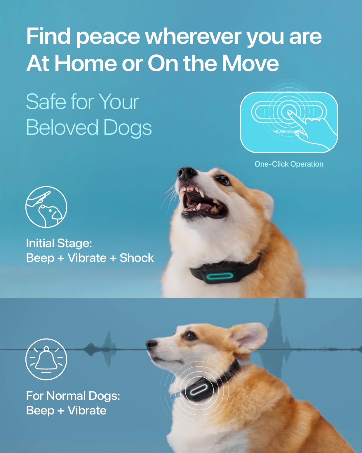 best lubrications Amazon.com : Dog Bark Collar Shock Vibration Beep: High Sensitive Barking  Control Collar with Replaceable Battery for Small Medium Large Dogs (Small)  : Pet Supplies