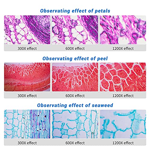 Artenjoyfine Science Microscope Stem Kit For Kids 300X-1200X High Magnification,Includes Prepared Blank Slides And Led Light,Educational Protable Microscope For Students And Beginners. #TOP5