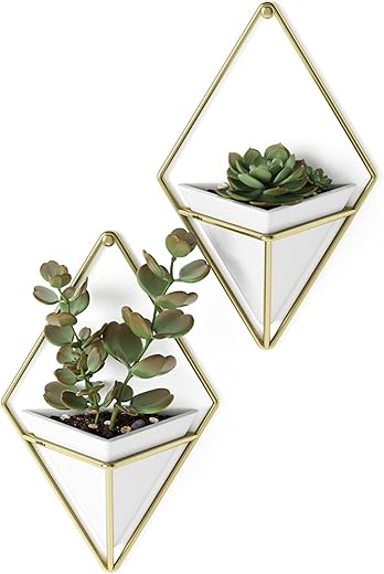 Umbra Trigg Hanging Planter Vase Wall Decor, Set of 2 Pots Containers for Succulents, Cactus, Faux Plants, and More, Small, White/Brass