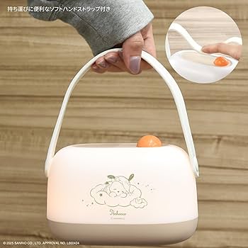 61hgpDWRShL._AC_UF350,