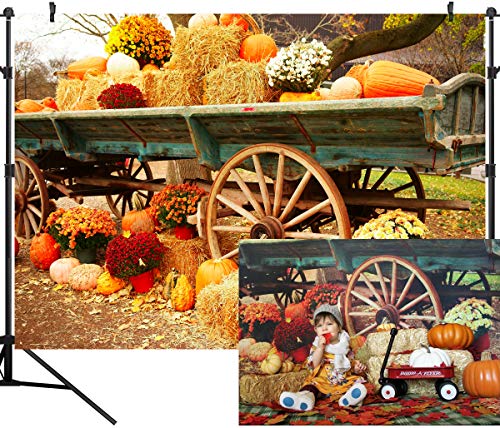 DULUDA Fall Photography Backdrop Thanksgiving Pumpkin Carriage Backdrop Party Supplies Farm Harvest Event Banner Decoration Photo Booth Props Studio Background 7X5FT WXL39C